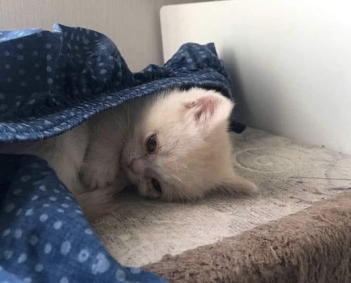 Guarromantico_'s tweet image. Cuando ya lo diste todo de ti y apenas es miércoles.