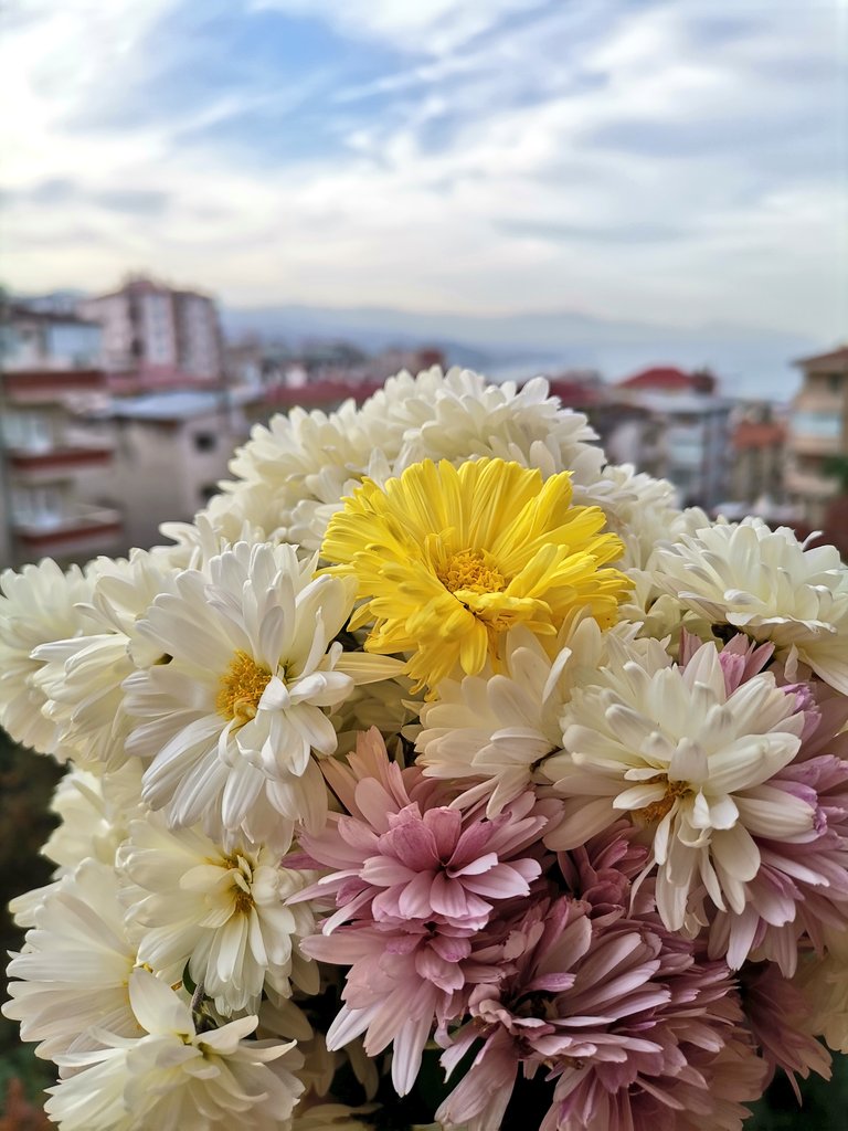 Anlık gelen küçük sürprizler... 💐🤗