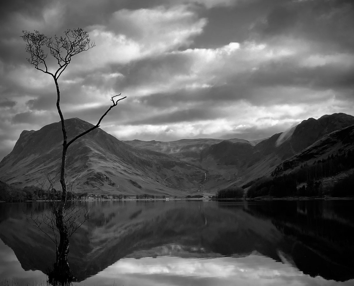 MeiLoft's tweet image. Possibly the most photographed tree in Buttermere.
#thelonetree
#lakedistrict #nature #blackandwhitephotography @ThePhotoHour
