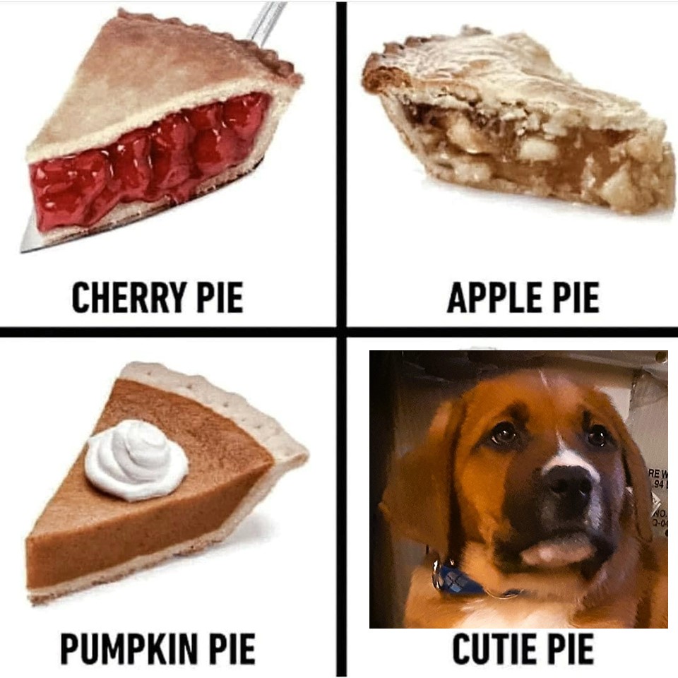 FinnMcCoolUS tweet picture