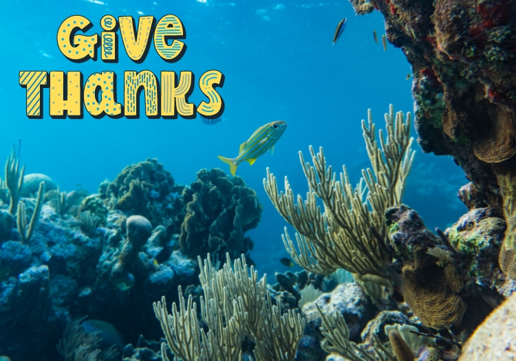 Giving Thanks - mailchi.mp/09998cfd17ca/a…  Thanksgiving is a time to reflect and thank those who contributed to your happiness and success.  As Loggerhead approaches its 20th anniversary, we are grateful for our customers' research and for including us in their work.