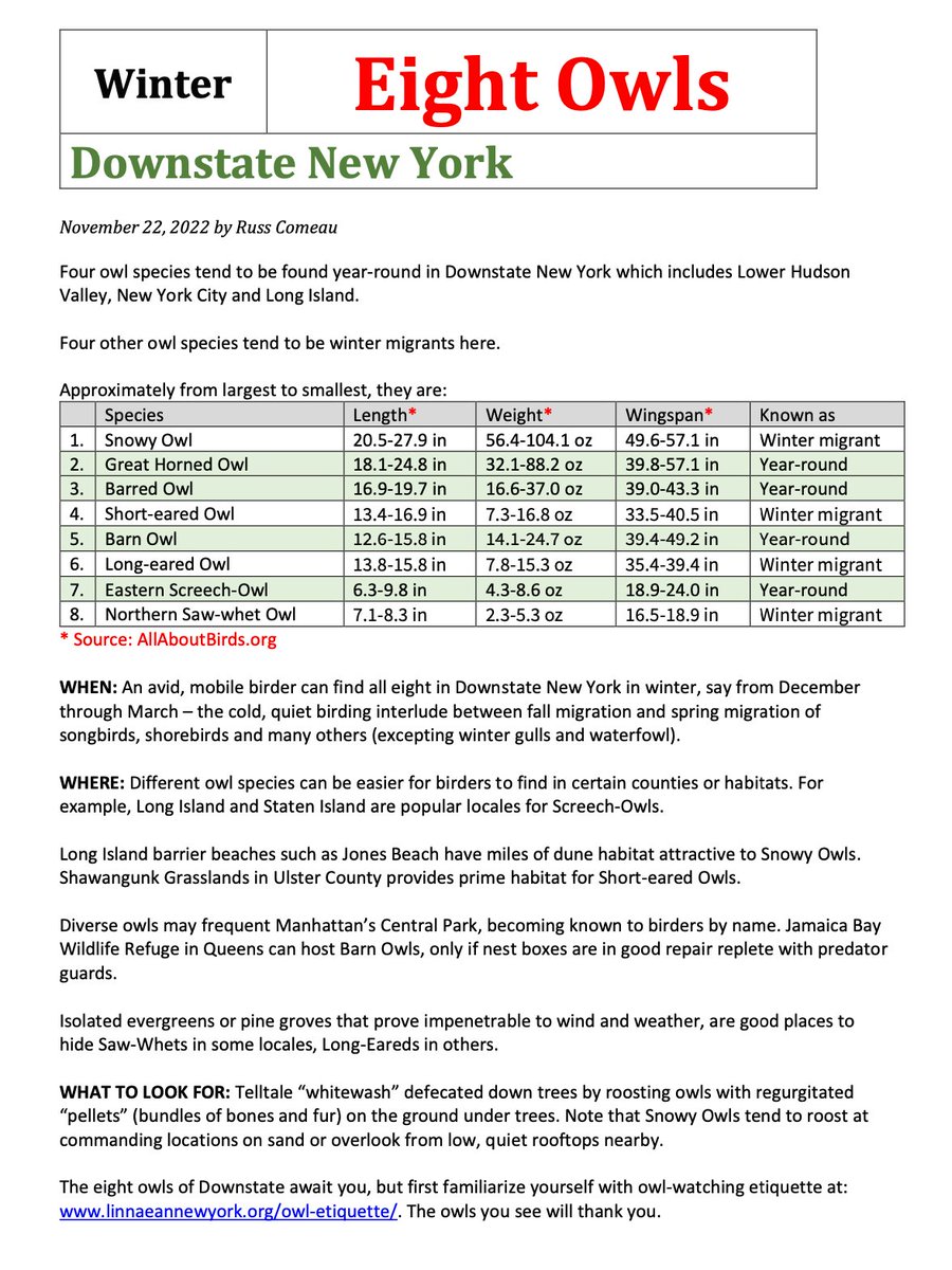 RussBassdozer's tweet photo. Will you see the eight owls of Downstate NY this winter?

@GatewayNPS @JamaicaBayGuard @NYCbirder @NYCountybirders @BirdQueensNYC @LongIslandBirds @birdwatchingnyc @centralparkNYC @BklynBirdClub @SMRAudubon @BRSSAudubon https://t.co/Pv2cetUhLU