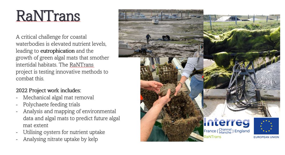 ProjectRaNTrans's tweet photo. Nice update to all at the 2022 NE Marine Conference from #RaNTrans
Get in touch for more details and how we could upscale results from these novel results
⬇️https://t.co/ifJVMUrcBH
📢https://t.co/FwkMx4kg27 https://t.co/tSdTPuRnJu