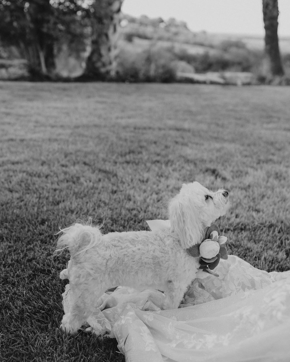 princessscattt's tweet photo. Throw a badass wedding ✅💍 https://t.co/JcYYPpSFhq