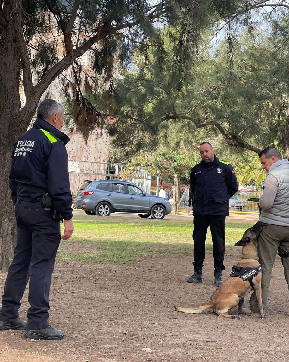 AGCPLE1's tweet photo. Trabajando el marcaje en personas.
#k9 #k9shep #k9policedog #k9police #k9dogs #k9flex #k9sam #k9johnnycash #k9flex_jpd #k9kato #k9lor https://t.co/NXvyCLPdYh