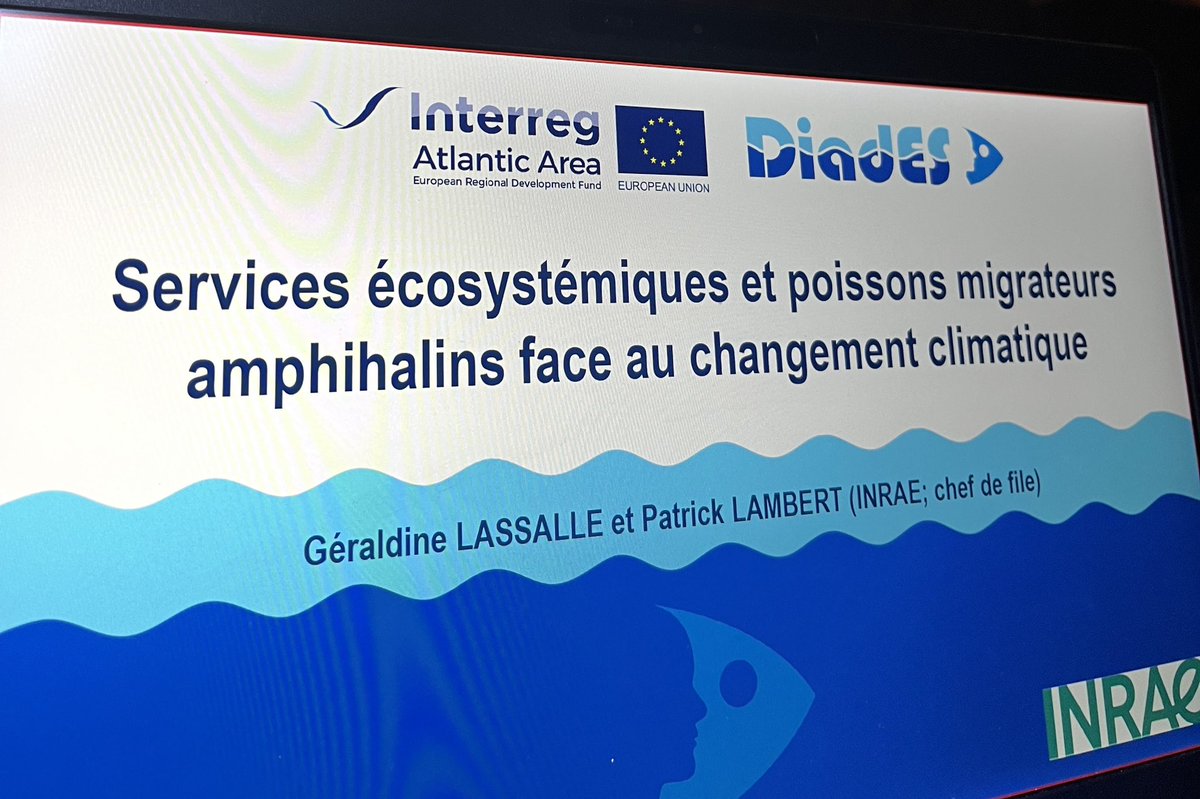 camille_coudy's tweet photo. Séminaire Espace Atlantique : place aux projets ! 
Témoignages et bonnes pratiques de porteurs de projets de la période 14/20.
#DiadEs #ADSA #AHFES #AltanticOnBike https://t.co/7PShRL8RQ2