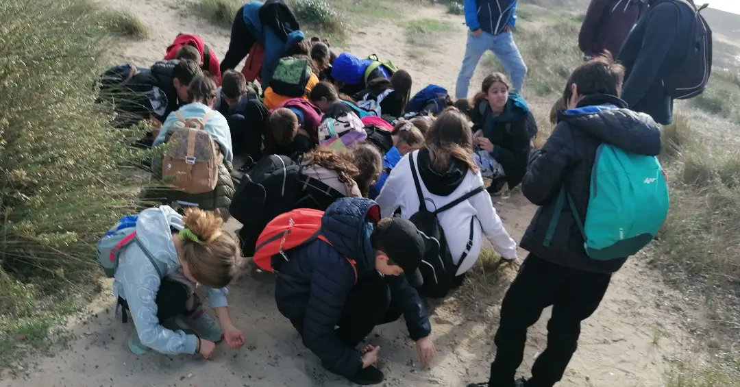 es_cda's tweet photo. Adaptar-se al ritme de la natura! Avui l'alumnat de 6è EP del #ceipmelciorrossello ha conegut de primera mà els canvis que provoca el clima. Arena de les platges reduïda, residus a l'arena, funció de la posidònia, formació dunar, flora i fauna #parcnaturalestrencsalobrar https://t.co/bqSKxddm2g