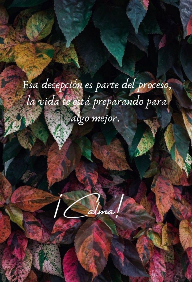 LeonSolarTarot's tweet photo. Constante evolución, eso es lo que estamos siendo.
#FelizMiercoles
#tarotconciente
#reflexion
#leonsolar 🪷 https://t.co/exrfx3ELmS
