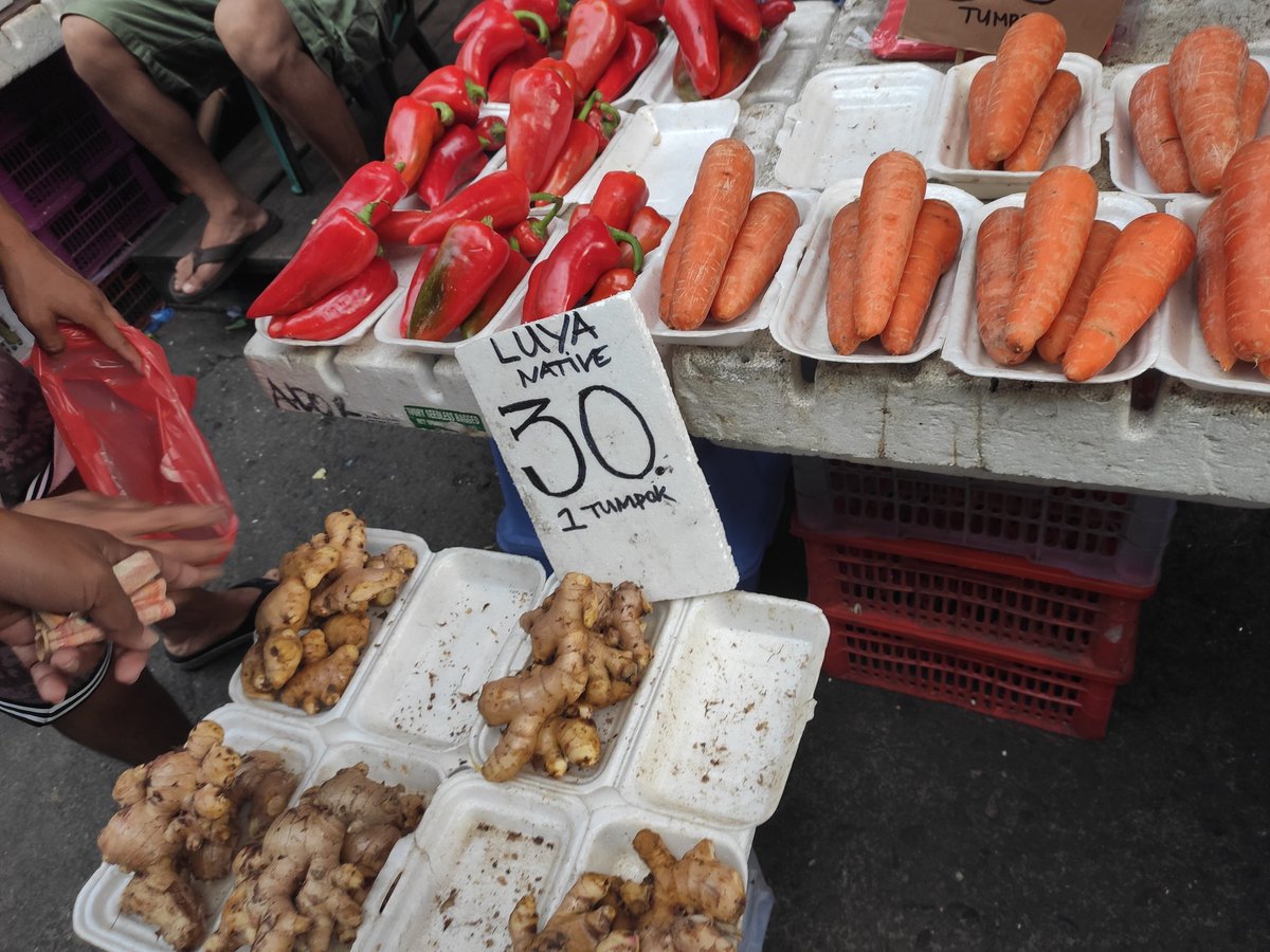 FhqJackie's tweet photo. Heto mga presyo ng bilihin sa Divisoria mga madlang people!
 Luya - 30pesos isang tumpok
Ampalaya -50pesos 
Letuce- 50pesos tumpok
Pepino-50 pesos tumpok
Carrots-30 pesos tumpok
Bell pepper -50pesos isang tumpok 
Namili ako kanina😅🥰✌️❤️ https://t.co/BtAhYFStXG