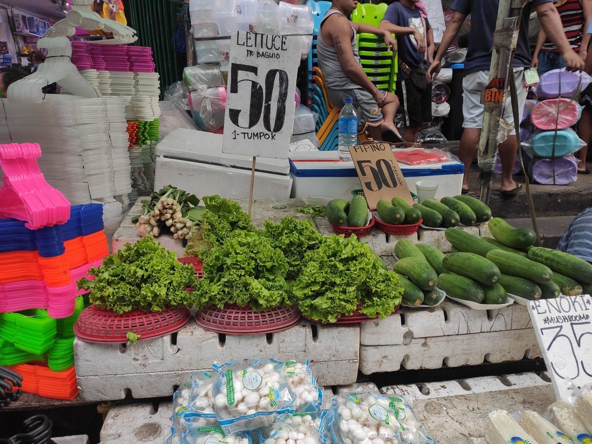 FhqJackie's tweet photo. Heto mga presyo ng bilihin sa Divisoria mga madlang people!
 Luya - 30pesos isang tumpok
Ampalaya -50pesos 
Letuce- 50pesos tumpok
Pepino-50 pesos tumpok
Carrots-30 pesos tumpok
Bell pepper -50pesos isang tumpok 
Namili ako kanina😅🥰✌️❤️ https://t.co/BtAhYFStXG