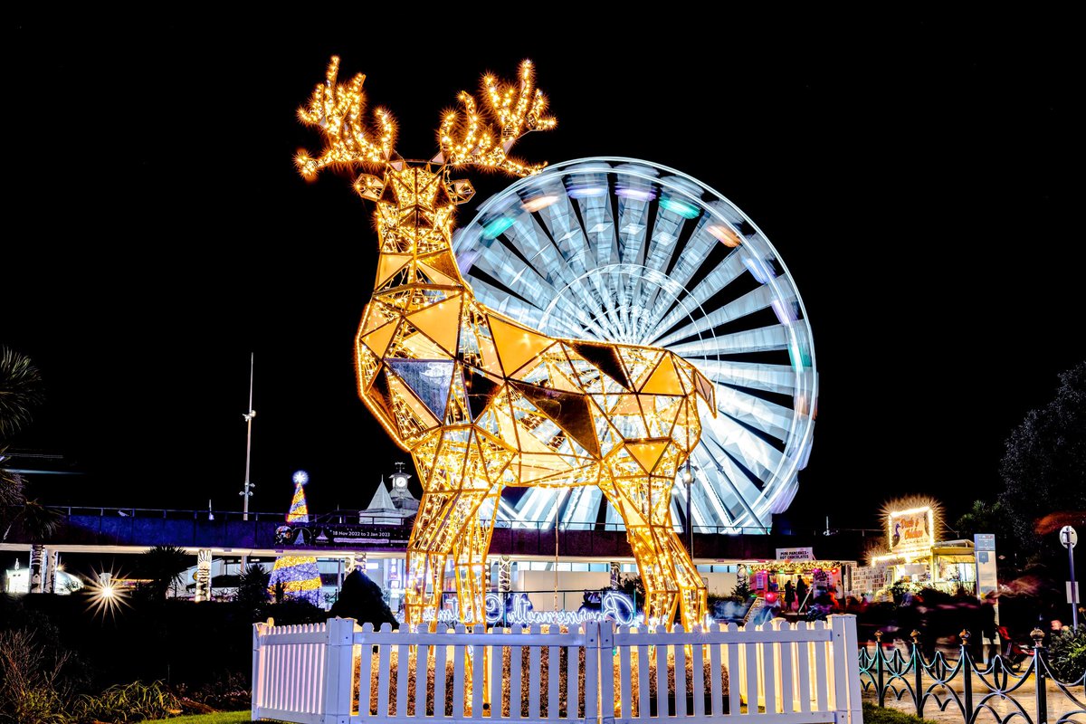 DorsetShazz's tweet image. Love this Deer at #ChristmasTreeWonderland  #Bournemouth #Dorset #christmas2022 #BigWheel @Bournemouthecho @bmouthofficial @LetsGoOut_BH @BournemouthFun @coastmostbiz