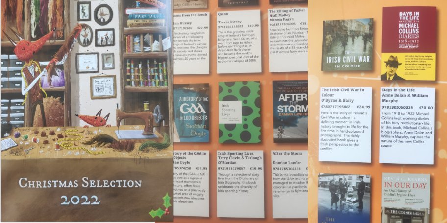RIAdawson's tweet photo. 📚 'Irish Sporting Lives' and 'Days in the life: Reading the Michael Collins Diaries 1918-1922' are in good company in this year's @ArgosyBooks 🎅 catalogue!

🦊 Beautiful cover image from #FoxandSonTailers @paddydonnelly @OBrienPress

#RIAPublications #ISL22 #IrishBookshops https://t.co/ZTh0PjMof9