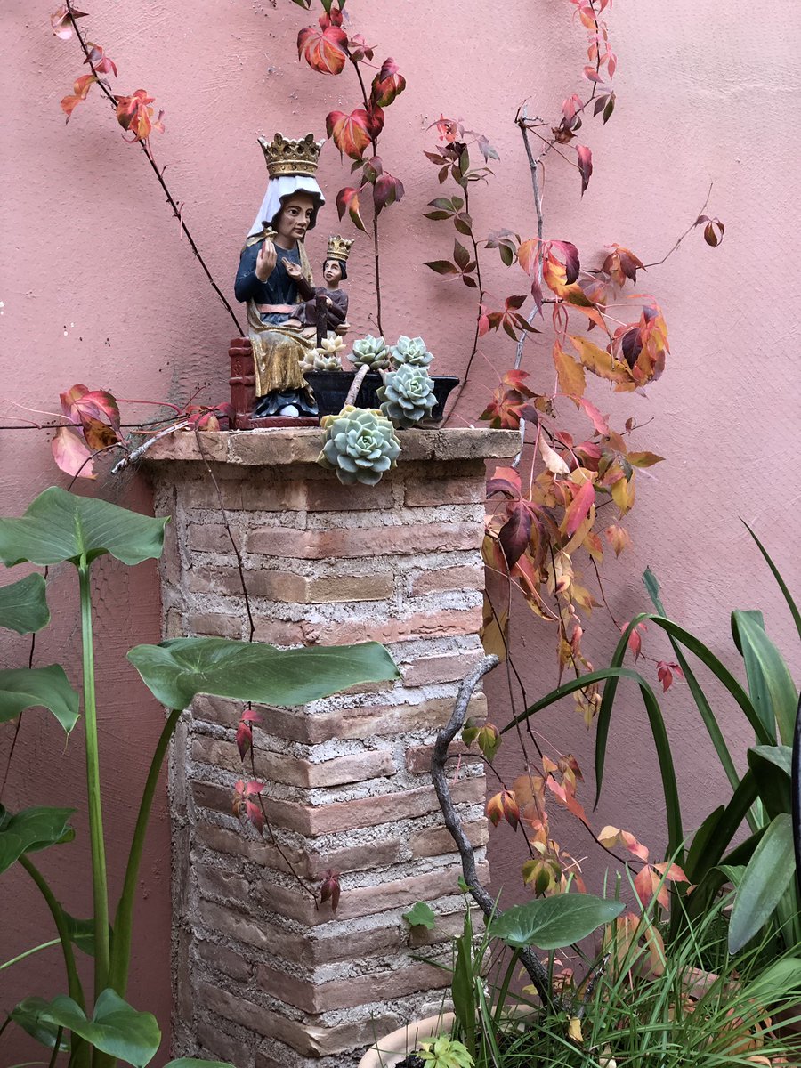 Pablo_LMN's tweet photo. Otoño en la terraza de casa, todavía se puede comer fuera en #Murcia https://t.co/Ck0BV7G774