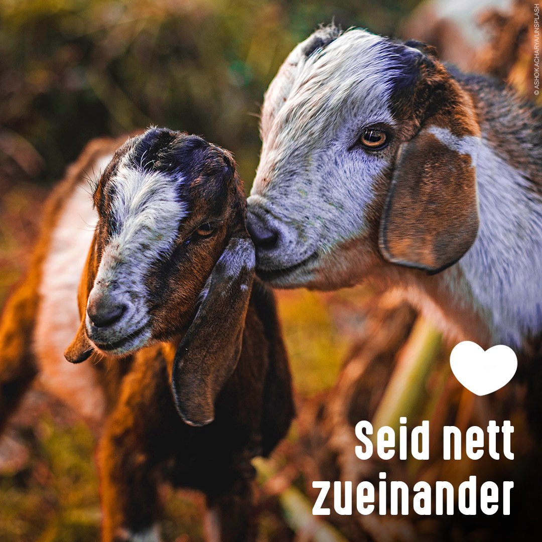 Immer dran denken... 🤍

#BeKind