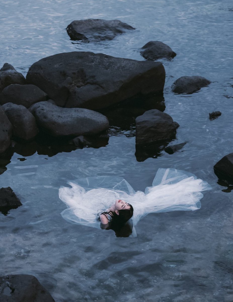 Gabriela tweet media