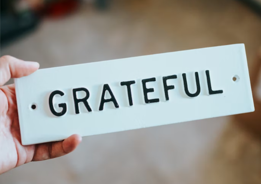 worksiteright's tweet photo. WorkSiteRight is grateful for each and every one of you! We are thankful to have the opportunity to increase health and decrease pain in the employees we care for so that they can have a great holiday. Happy Thanksgiving! https://t.co/9W7YoSgamr