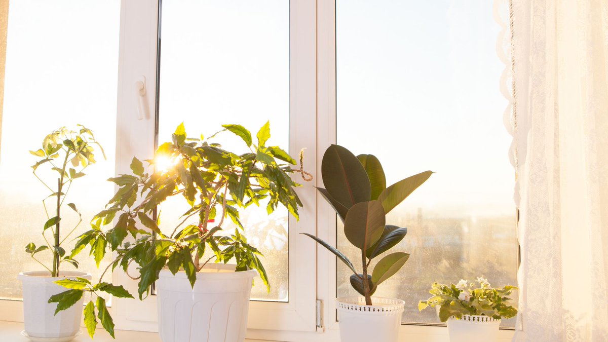 Heb je nog enkel glas in huis? In de woonkamer, slaapkamer, badkamer of toilet? Dan kun je binnenkort een telefoontje verwachten. We vervangen het gratis door dubbel glas. Je mag ons zelf ook bellen om een afspraak te maken.