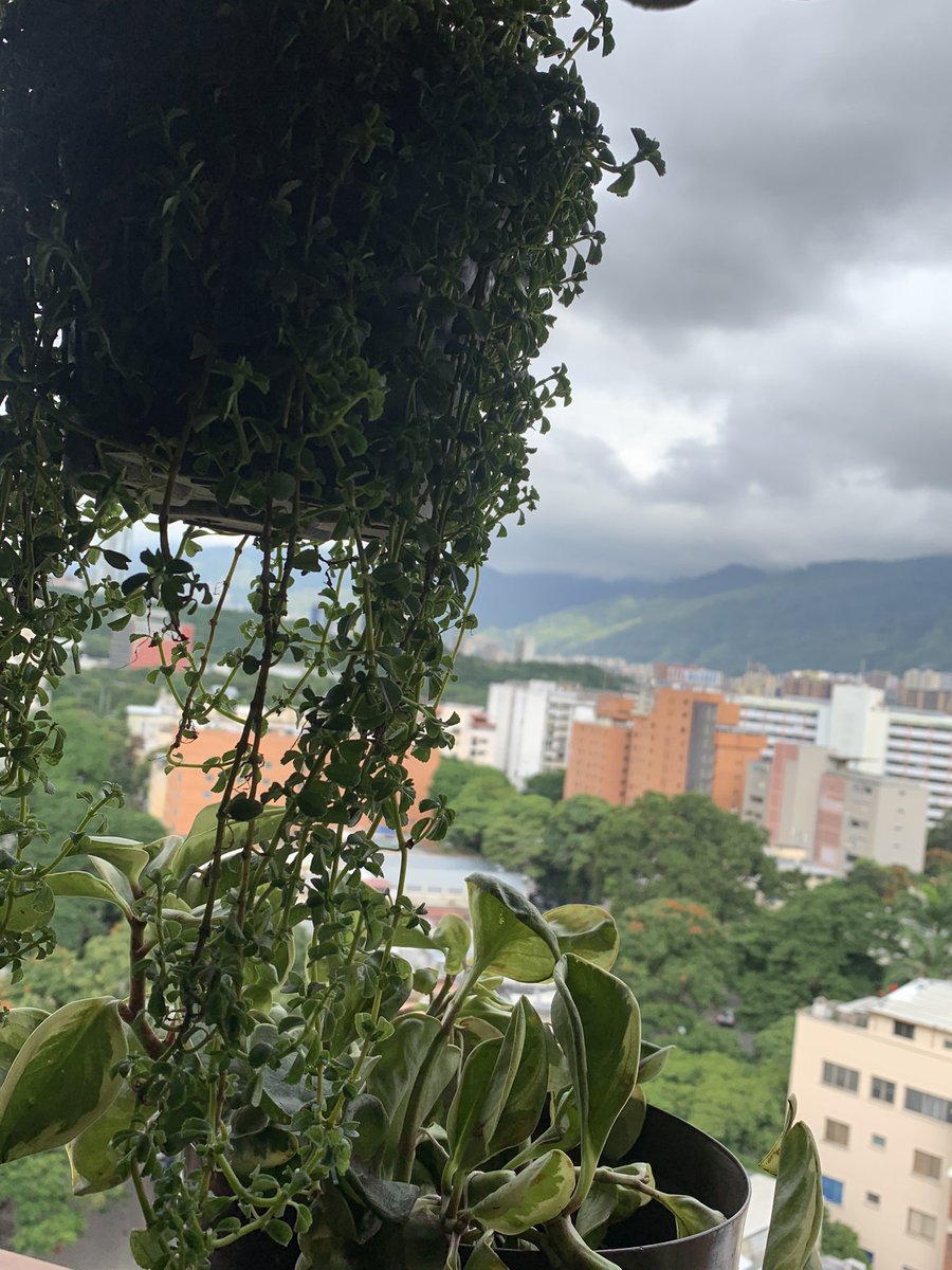 Gm web 3. Today i’m very proud and happy bc i register my last semester in the university 🙌🏻👨🏻‍🎓 6 more month 🔜