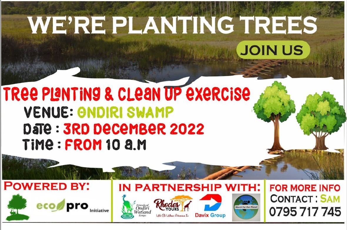 SamuelMuoria's tweet photo. @HonTuya @StateHouseKenya @MamaRachelRuto Looking for partners in supporting us with supply of indigenous tree seedlings as we plan for our tree planting activity at Ondiri wetland  @OfOndiri on 3rd Dec https://t.co/oXy7Kew2Cq