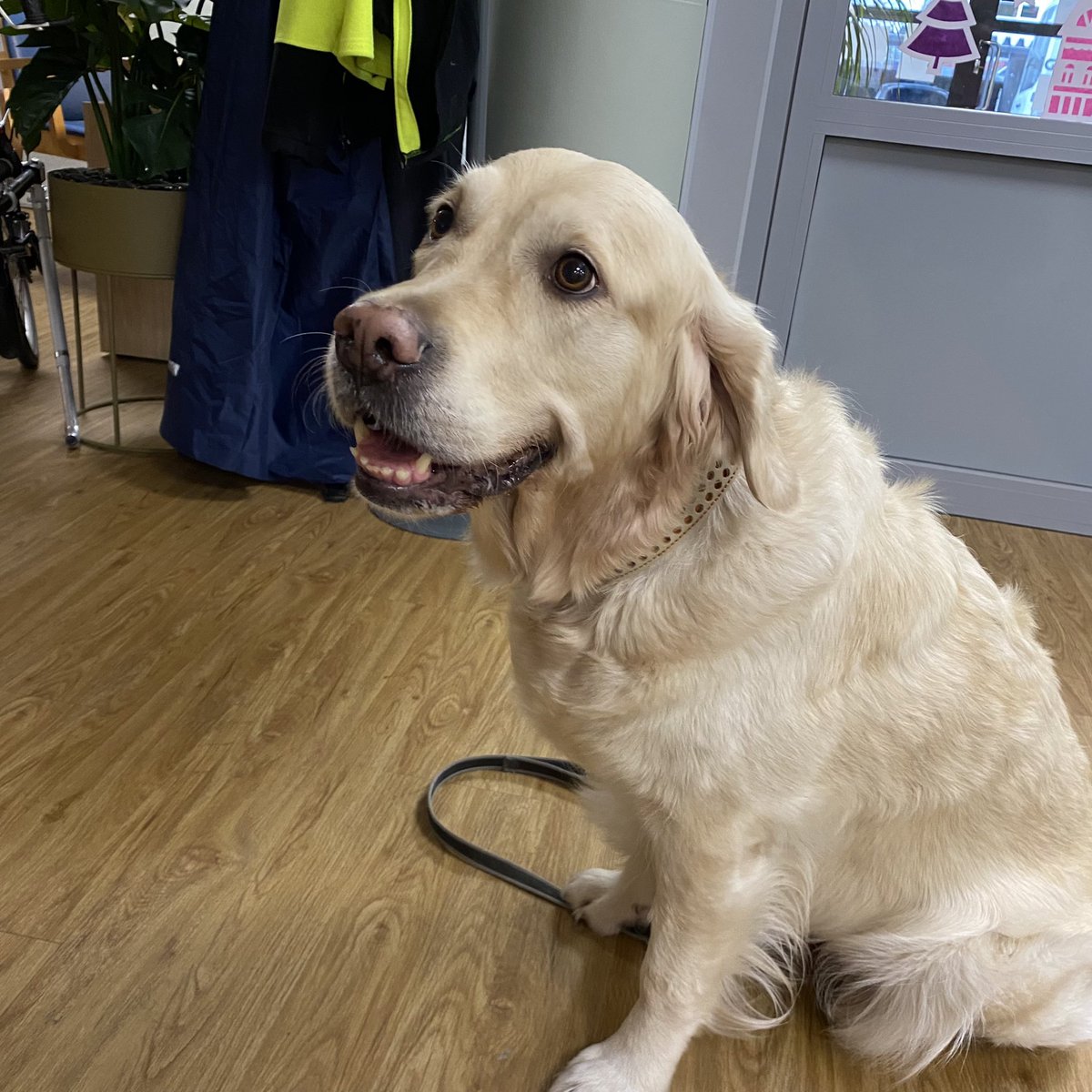 JJuvakka's tweet photo. Sain tutustua @Invalidiliitto omistaman #Validia ’n asumisyksiköihin Kaarinassa ja Turussa. Ilo tavata osaavaa henkilöstöä ja tyytyväisiä asukkaita. Minun tuloni innosti lähinnä vain kuvan osa-aikaista työntekijää. Ehkä sekin kädessäni olleen kakkupalan johdosta . #koira https://t.co/ICzFwSFuA5
