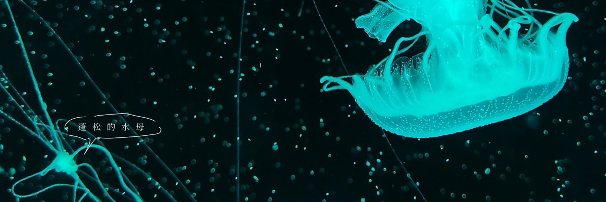 まとめ割大歓迎、気軽に質問ください⭐️4 코유키💛 on X: 