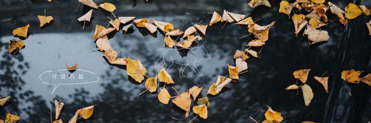 まとめ割大歓迎、気軽に質問ください⭐️4 코유키💛 on X: 