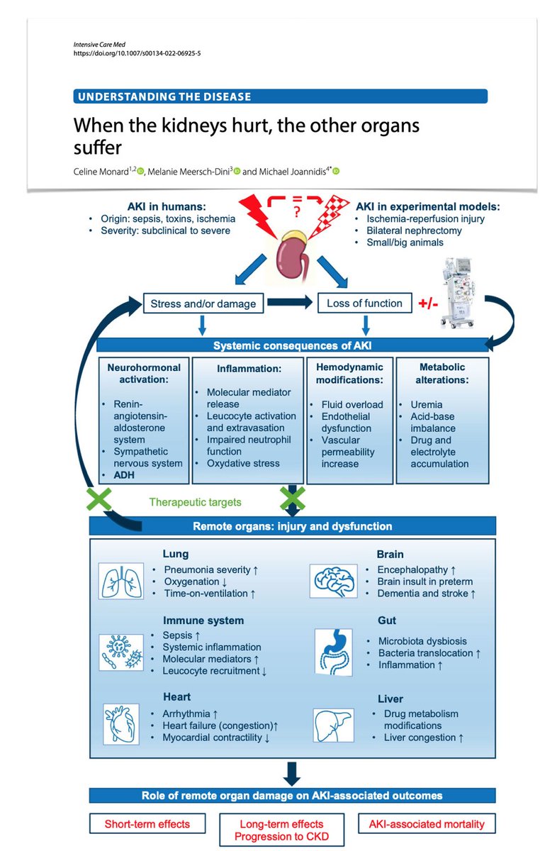 When kidneys hurt, remote organs also suffer, likely contributing to associated mortality/morbidity...
Review focused on most documented/relevant interactions between #AKI &amp;
➡️ immune system
➡️ heart
➡️ lung
➡️ gut
➡️ brain
➡️ liver
#FOAMcc on <a href="/yourICM/">Intensive Care Medicine</a>
📎 rdcu.be/c0fmq
