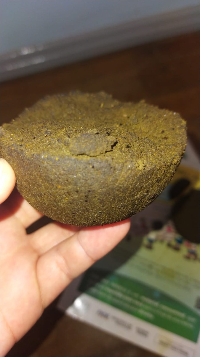 Foto enviada por seguidor 🍁
