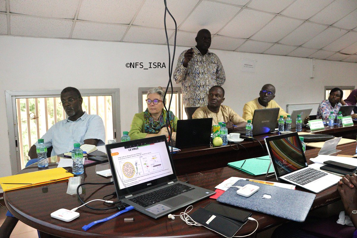 LNERV4's tweet photo. Ce 15 novembre 2022, l’ISRA/LNERV et UMR/CIRAD ont co-organisé l'atelier de clôture du projet de jumelage entre l’ISRA/LNERV, la DSV Sénégal et le CIRAD sur la FVR qui est une des six maladies zoonotiques prioritaires au Sénégal. 
@Cirad @FAO @WOAH_Global https://t.co/9wAnp79wdm