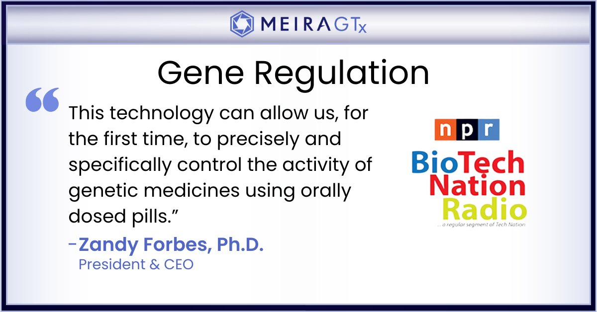 MeiraGTx's tweet photo. Our CEO, Zandy Forbes, spoke with Moira Gunn on @NPR's @biotechnation podcast about our approach to #GeneTherapy. To learn about everything from our #Phase3 program in #RPGR to our riboswitch #GeneRegulation platform, listen to the interview here: https://t.co/5aPcFLGUBd https://t.co/tnAklYOzcP
