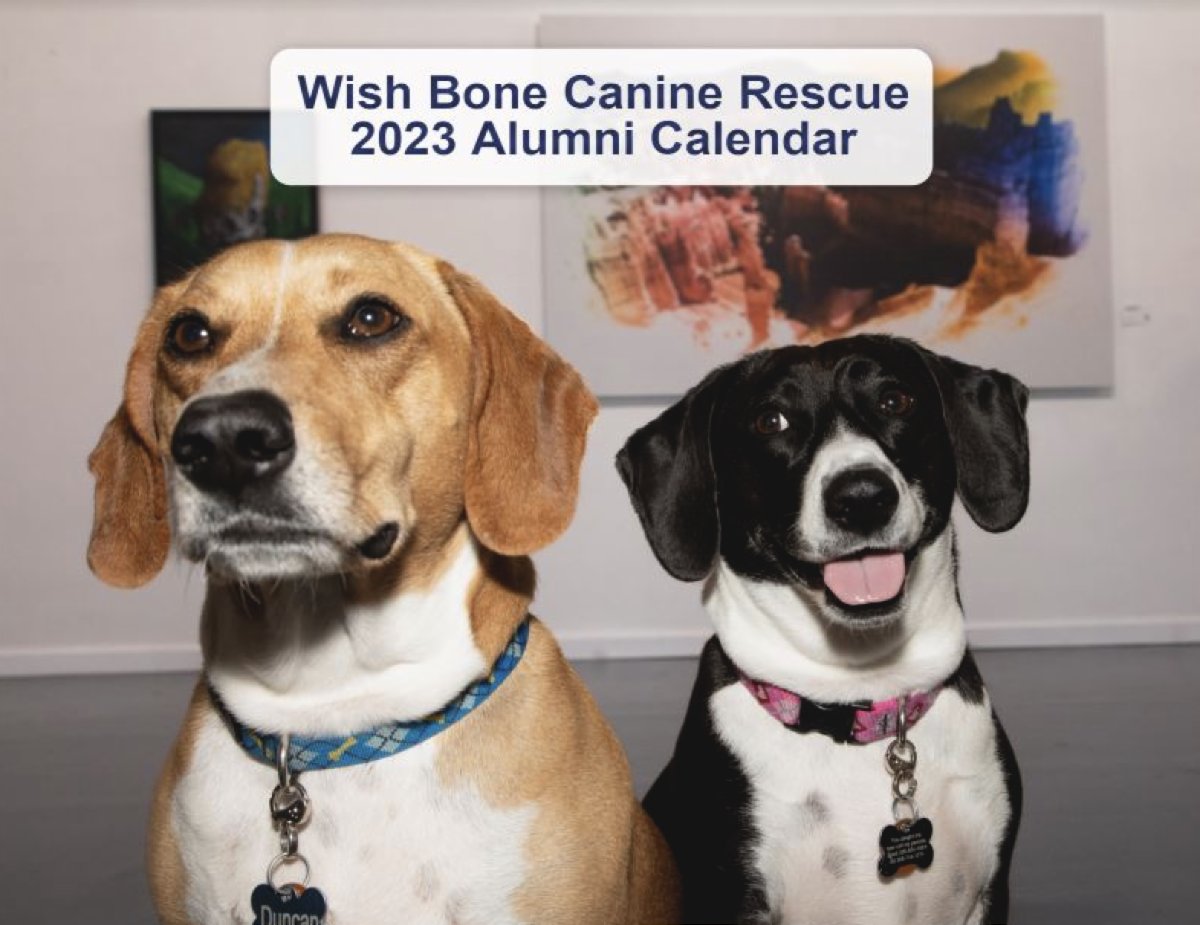 Let us make your howl-iday shopping paws-itively easy! Our 2023 calendars make great gifts and help our homeless dogs! Order yours today! #wbcrdogs #blono #shoplocal #rescueworks 
conta.cc/3GAB7Xx
conta.cc/3EwSqGr