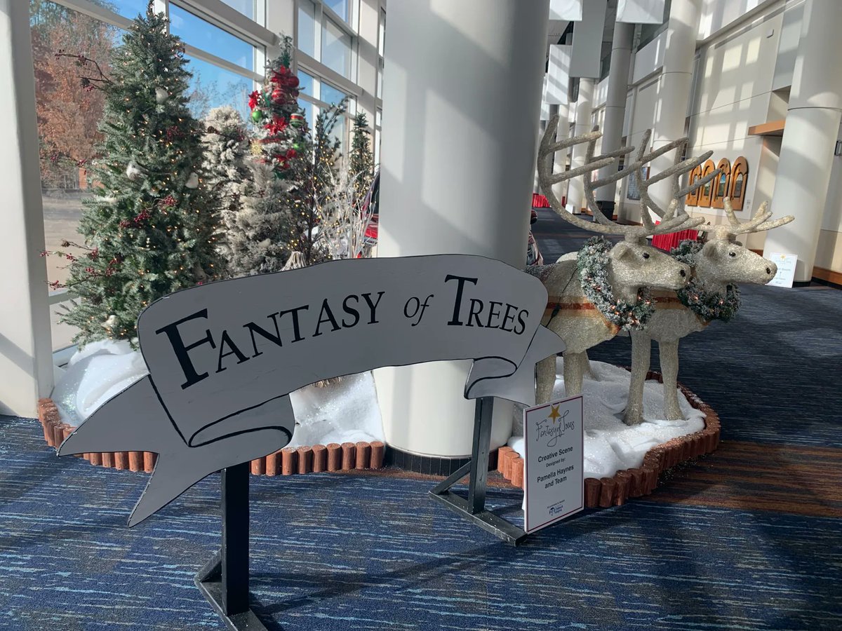 FantasyOfTrees's tweet photo. The magic starts today at 9am! #FantasyOfTrees #FOT https://t.co/CszYy2hZ6m