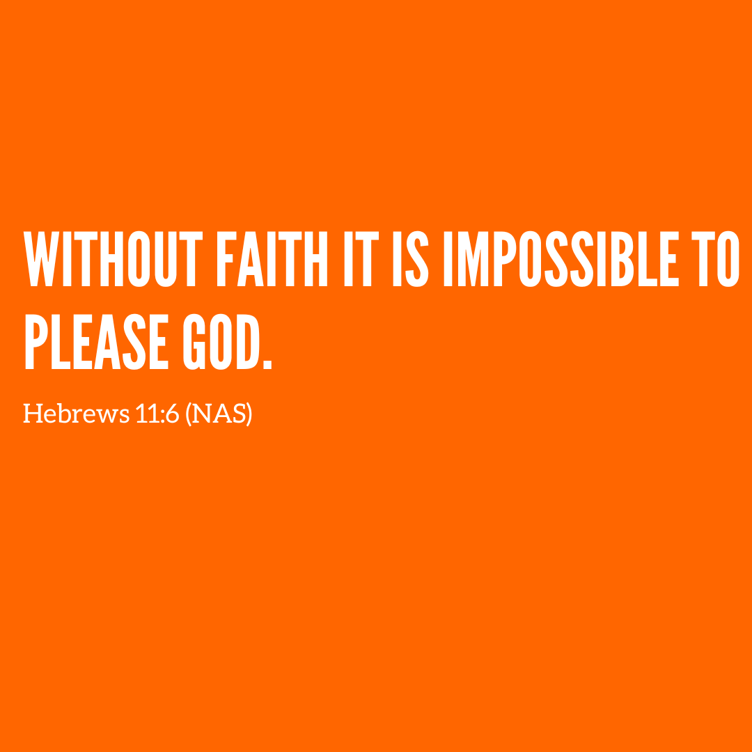 Vineyard N. Phoenix tweet media