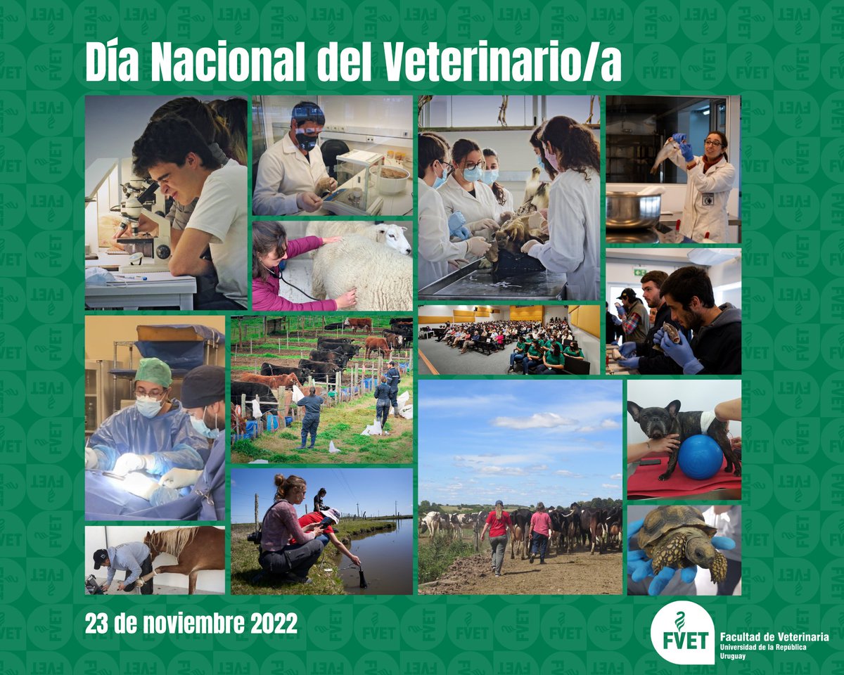 📣El 23 de noviembre se celebra el Día Nacional del Veterinario/a, en este marco la Facultad de Veterinaria saluda a sus colegas quienes ejercen la profesión veterinaria día a día.