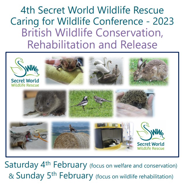 📢BOOK NOW📢 SWWR Caring for Wildlife Conference 2023 📅Saturday 4th and Sunday 5th February 2022 📍East Huntspill Village Hall ⏱10am - 4pm ↪️secretworld.org/event/swwr-car… Two days with some fantastic speakers talking about British wildlife conservation, rehabilitation and release.