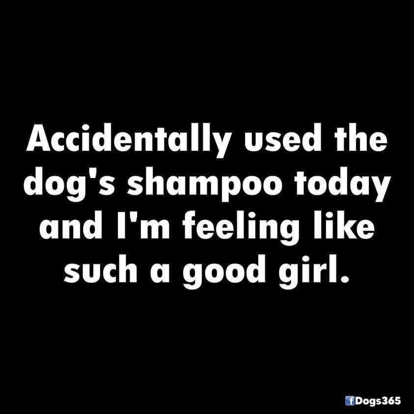 authorbutterfly's tweet photo. 🐾 x🐾x🍖 https://t.co/6ItX6yt9oN