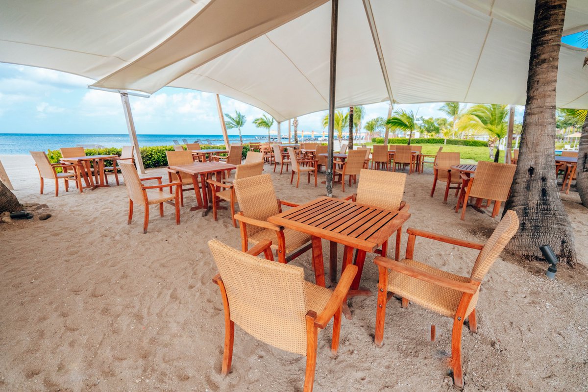 NevisNaturally's tweet photo. Happy Wednesday Everyone!
With winter fast approaching, would you rather spend it here or in the cold?!
#nevis #nevisnice #nevisnaturally #skn #stkittsnevis #nowinterhere #escapethesnow #tropicalvibes #sunsandsea #islandlife https://t.co/FE22Qjbwnd