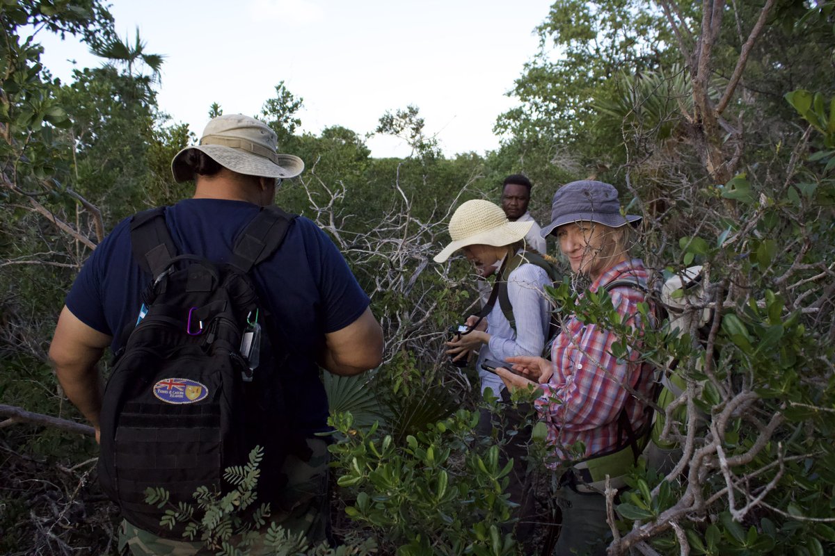 Ecolog3stDutz's tweet photo. Kicking off another 3 week fieldwork this Monday with @KewScience @KewUKOTs for the @Darwin_Defra #DPlus114 project.
#KewTCI #TCITIPAs https://t.co/fP8iqarCz6