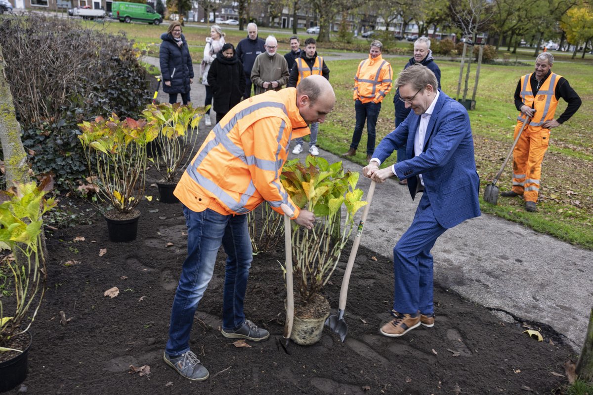 DitisHelmond's tweet photo. Vergroening Helmond Noord, Oost, West en Centrum van start 

Om de start van de aanpak in te luiden heeft wethouder Arno Bonte vijf hortensia’s aangeplant in het Hortensiapark in Helmond Oost.

https://t.co/lqUqtPLg6Z 

@arnobonte #Helmond https://t.co/rQQTGYsfoz