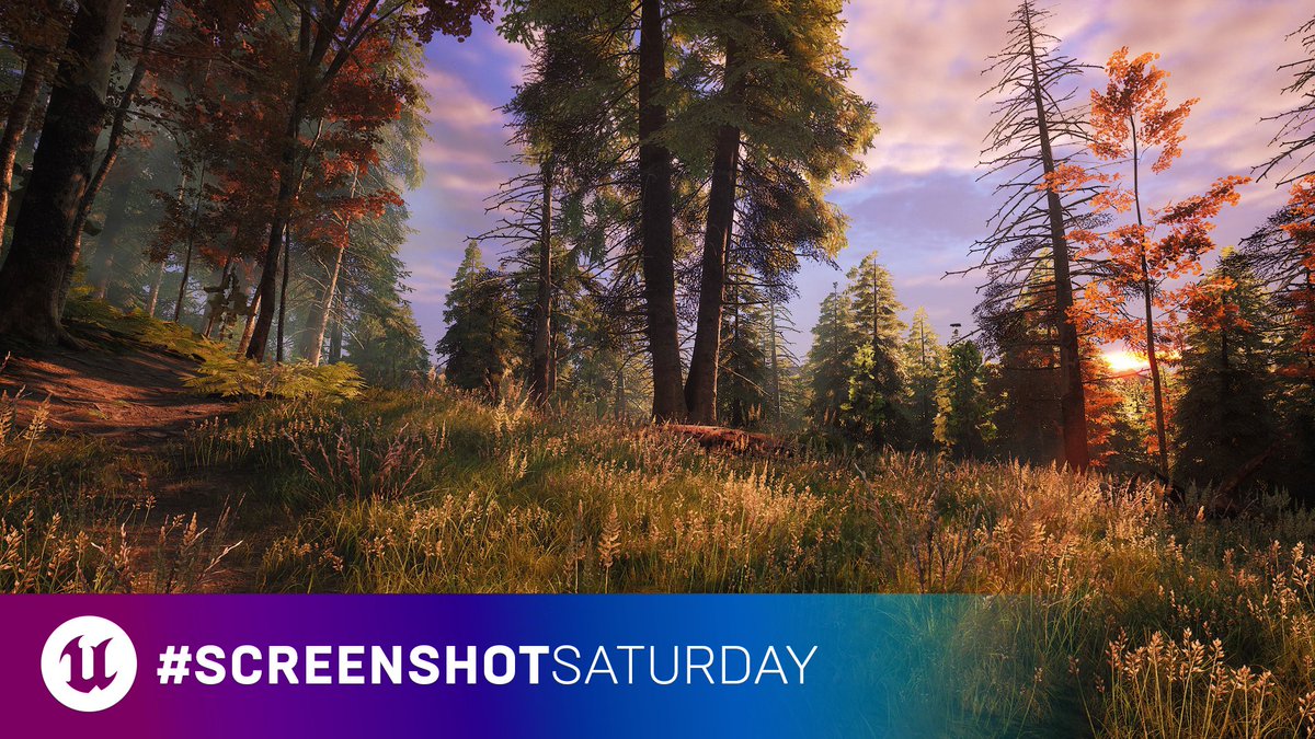 Today is #ScreenshotSaturday! Take a look around and share your latest #UE5 project in the comments below. 

🌲: <a href="/OnYourOwn_Game/">Andrei Ghenoiu</a>