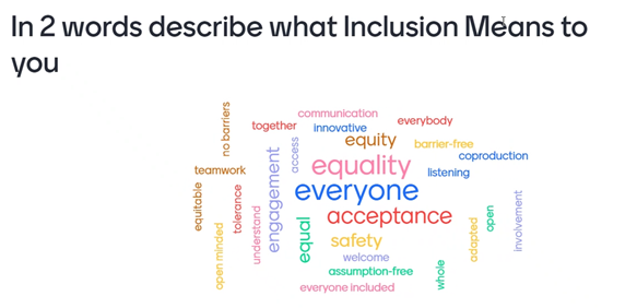 "Inclusion means different things to different people" #RPMNmeeting @AdibaSultan