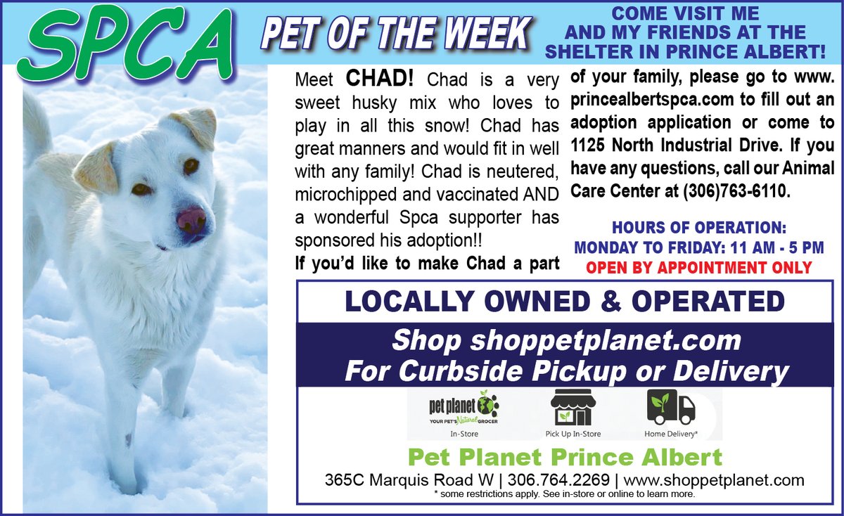 PAShopper's tweet image. SPCA - Pet of the Week
princealbertshopper.com/spca
#SPCA #PetoftheWeek #princealbertshopper