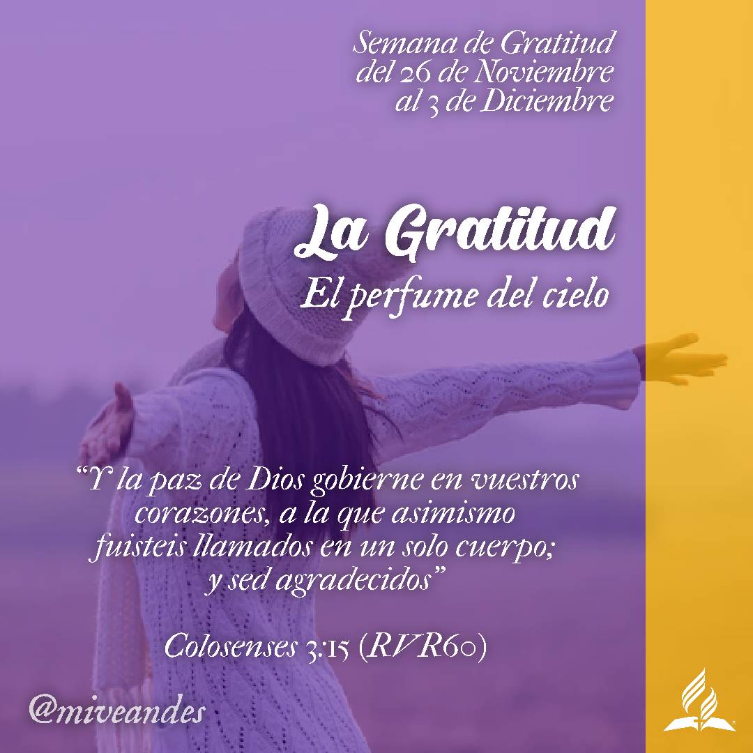 miveandes's tweet photo. Faltan solo 10 días para entregar nuestra OFRENDA DE GRATITUD, prepárate!!! 🙏🏻🎁
#FelizMiercoles #IWillGo #UVOC #MVAE #Oración #Adventista #Mayordomia https://t.co/3d0OetgwEe