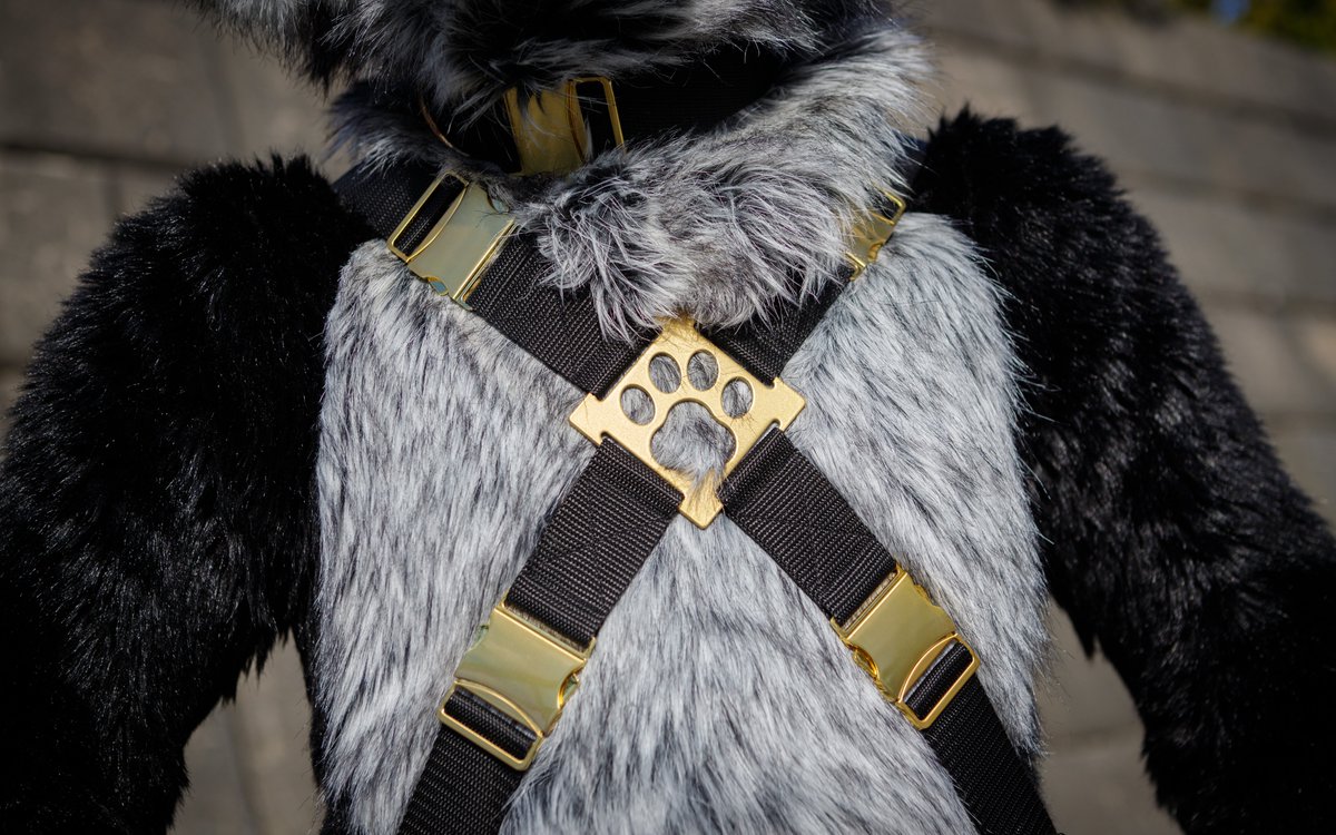 🌟🔥 FREE HARNESS RAFFLE 🔥🌟

Win 1 free product from our shop. Your choice!

RULES
- FOLLOW and RETWEET to enter
- Ends Nov 29th 12am CST / 7am CET

BONUS:
- A second winner will be drawn out of all people who bought something during our 30% OFF BLACK FRIDAY SALE (Money back!)