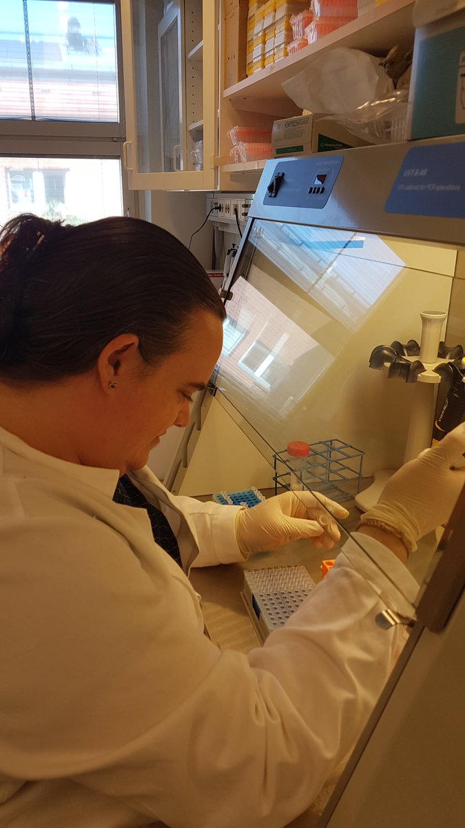 luomus's tweet photo. 3/10 @VTwort is a postdoc at @BatLabFinland interested in #Museomics (using #Museum collections for #Genomics), #phylogenomics and #evolution. Currently working with Myotis #bats including untangling their evolutionary relationships. @battymusea #OuluTC #aDNAforScience 🦇 https://t.co/E16yW45Llu