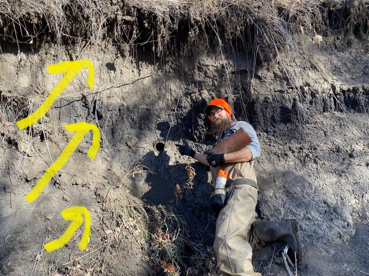 drbillyjbeck's tweet photo. #Streambanks have different “layers”.
Each w/ varying: #erosion processes; #phosphorus content
How do “layers” impact #Iowa #waterquality? Quick, non-tech, pub from @ISUANR :
https://t.co/74QmgEnDGx https://t.co/cjerN8bAjA