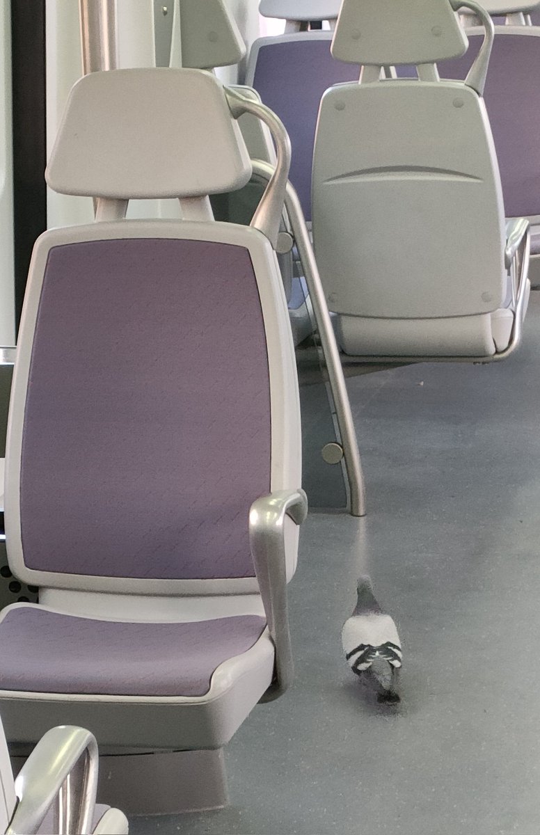 somdelhospi's tweet photo. Passatgers sense mascareta a @rodalies. Fins quan hem d'aguantar-ho? https://t.co/3sYMxUcnBq