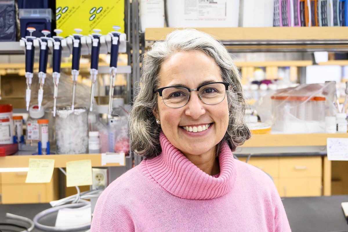 Congratulations to Dr. Anita Bhattacharyya for recieving the Vilas Early-Career Investigator Award! #UWMadisonCRB