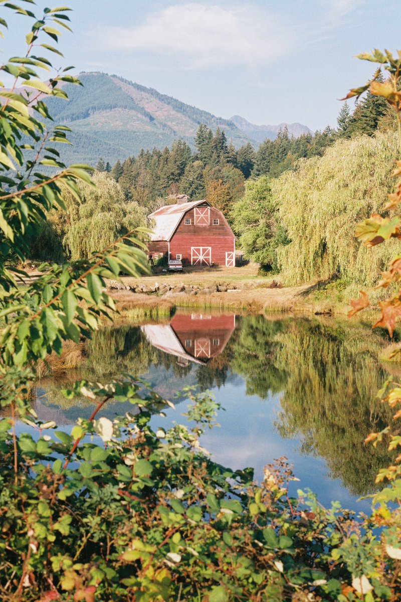 IzzieFarr's tweet photo. I found Al’s Toy Barn

Shot with Fujifilm Superia Xtra 400 https://t.co/mM7g5cm1U7