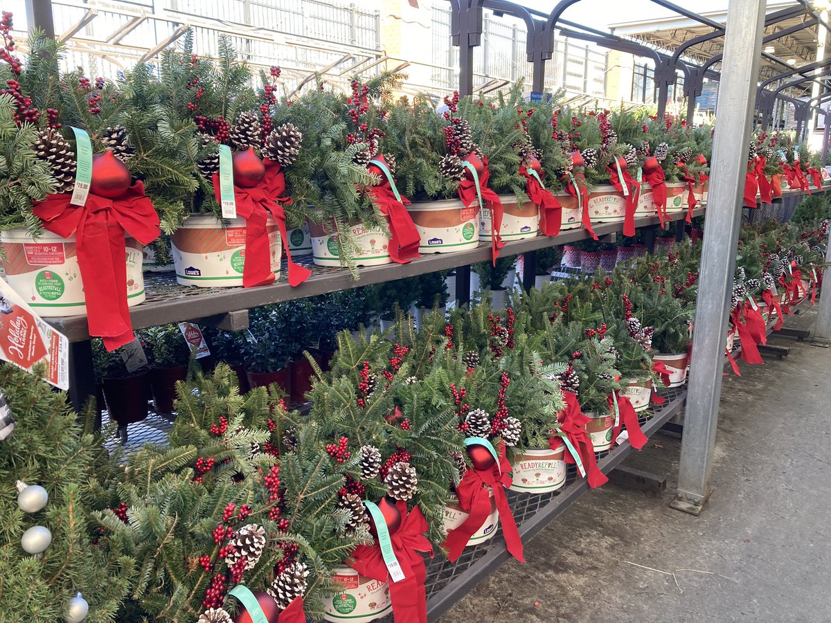 Everything you need to start the holiday season is waiting for you at the Lowes in Gaithersburg, MD #223 Come and get your pansies, poinsettias and Christmas greens! @PlantPartners @KPlantPartners @BarryTankersle1 @LBishPlants